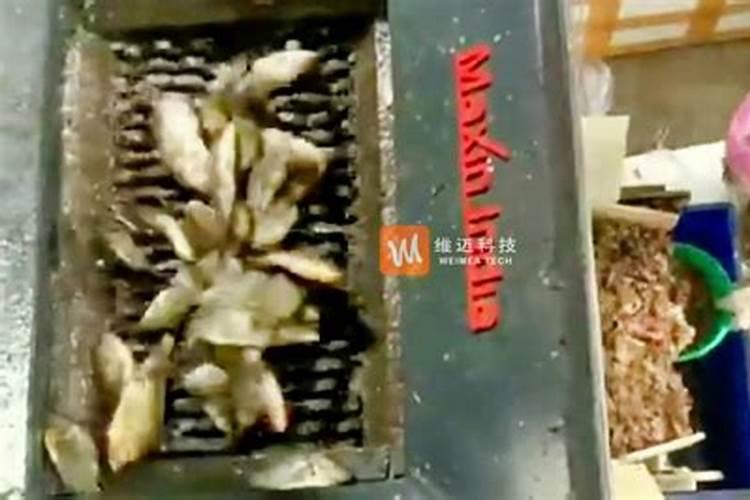 钾肥的作用是什么