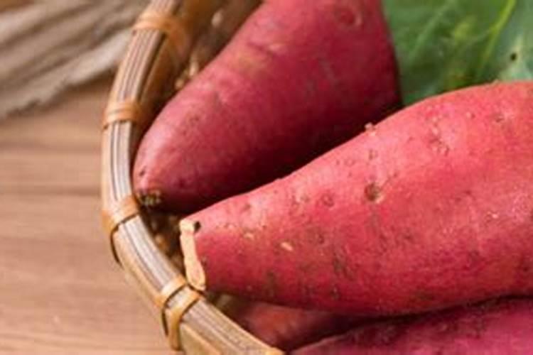 大豆根腐病有什么好的药剂？