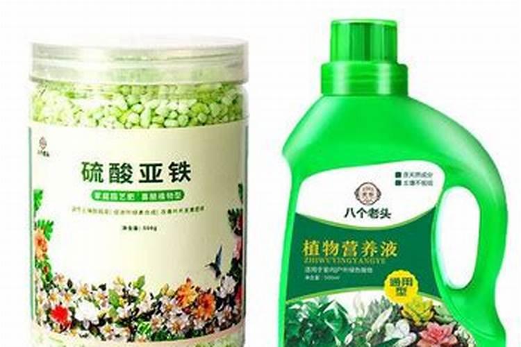 种鱼腥草用什么肥料最好