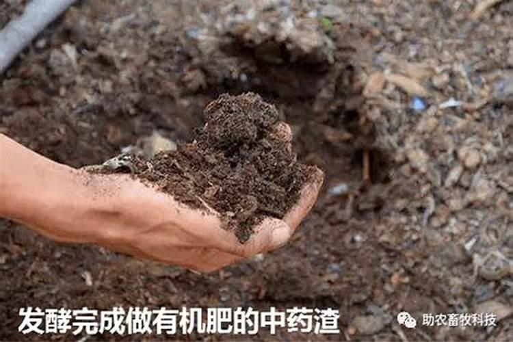 玉米底肥用二铵好还是复合肥好