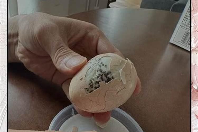 如何综合利用当今设施农业的高新技术