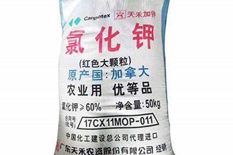 甜玉米含糖量高吗？