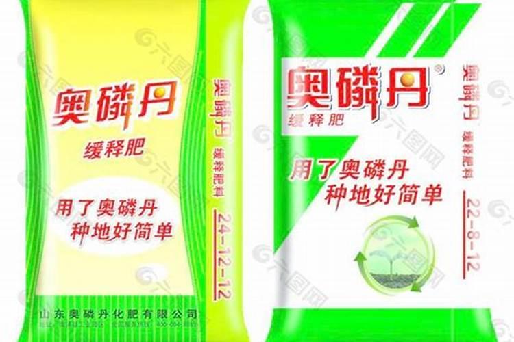 杨梅树种植,注意事项有哪些？