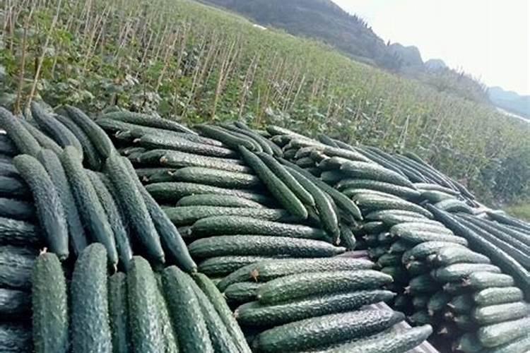 eya什么意思网络用语