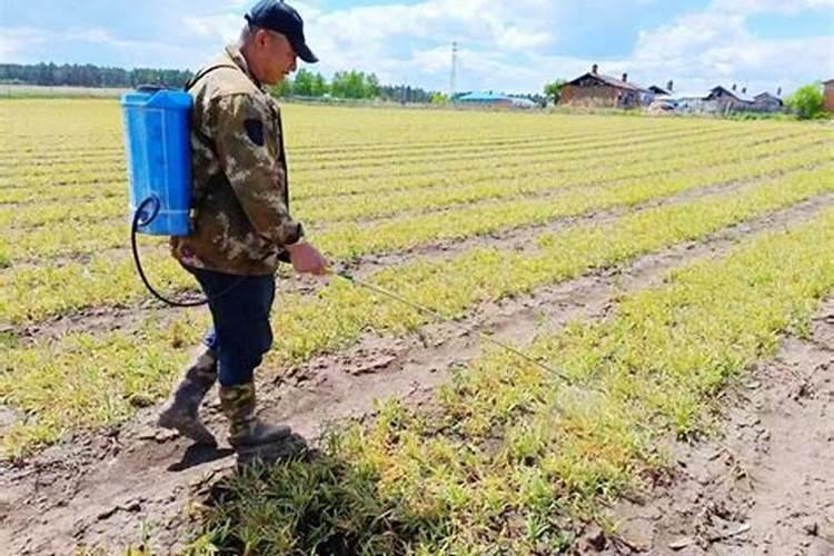 谷粒谷力 红豆谷粒多早餐奶 250ml*10盒/箱详细介绍