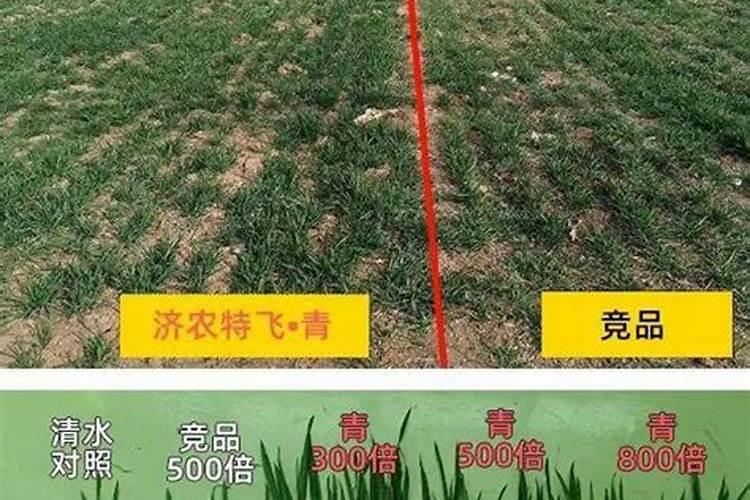 硝基硫酸钾复合肥用多少水能溶解？