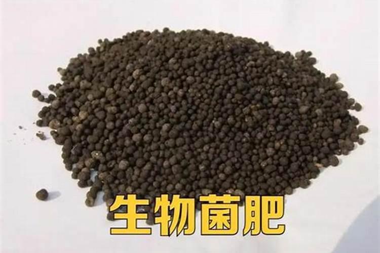 果树膨大期应施什么肥？