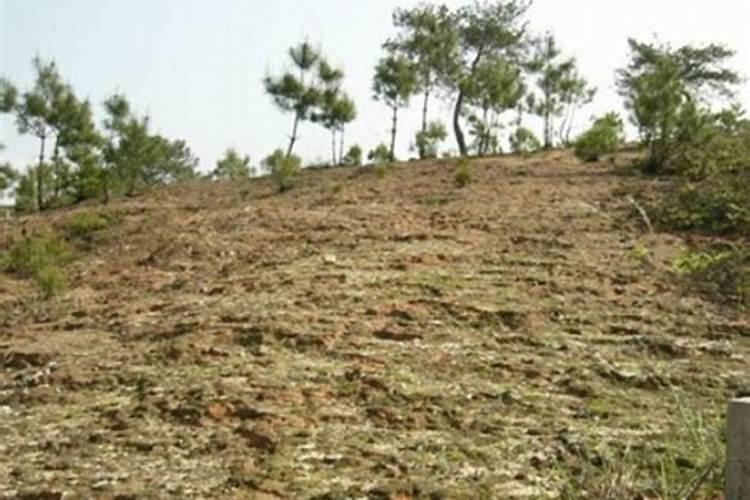 氮肥是什么做的