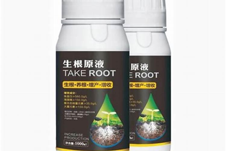 水稻烧苗了用什么肥料能刺激根系发达