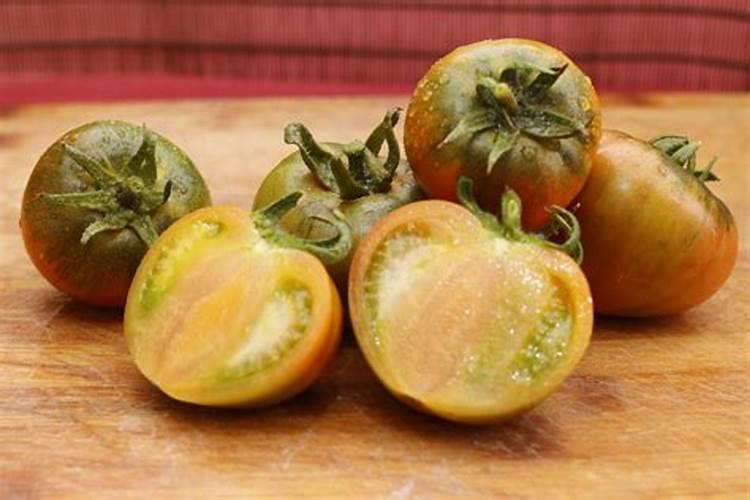 月季花花瓣可以当肥料吗？