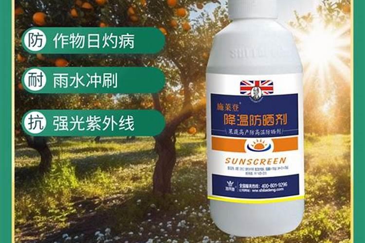 温室大棚茄果类蔬菜生理性病害都有哪些？如何防治？