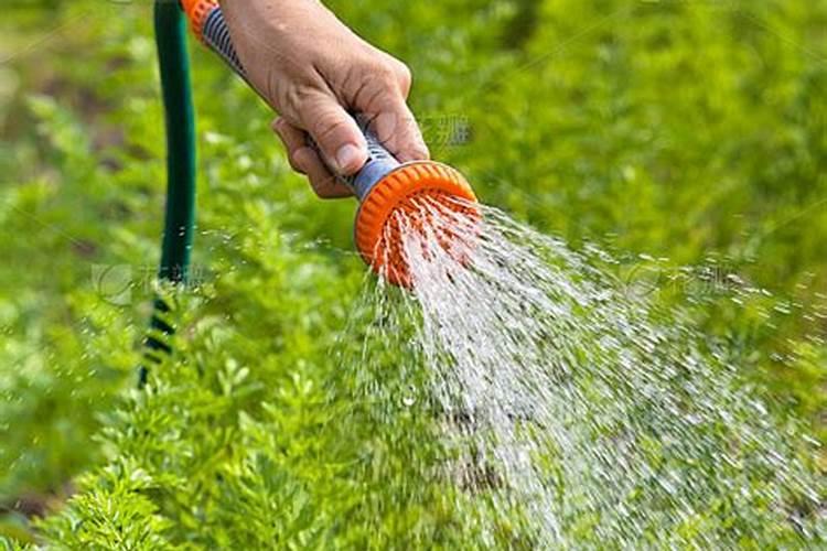 果树冲施肥多久用一次,冲施肥与水溶肥的区别,冲施肥的效果怎么样？