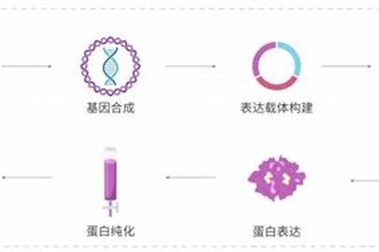 什么是鱼胶
