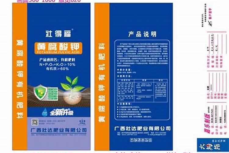 入伏了大葱上点啥肥