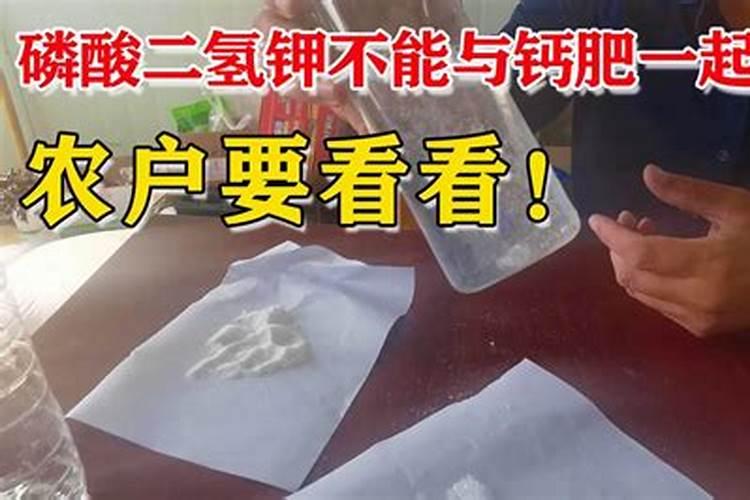 菌肥和钙肥能掺着上吗？