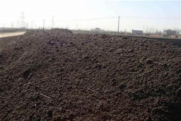 菌肥可以和杀虫剂混用吗