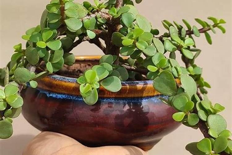 空气土壤中能不能合成氮磷钾