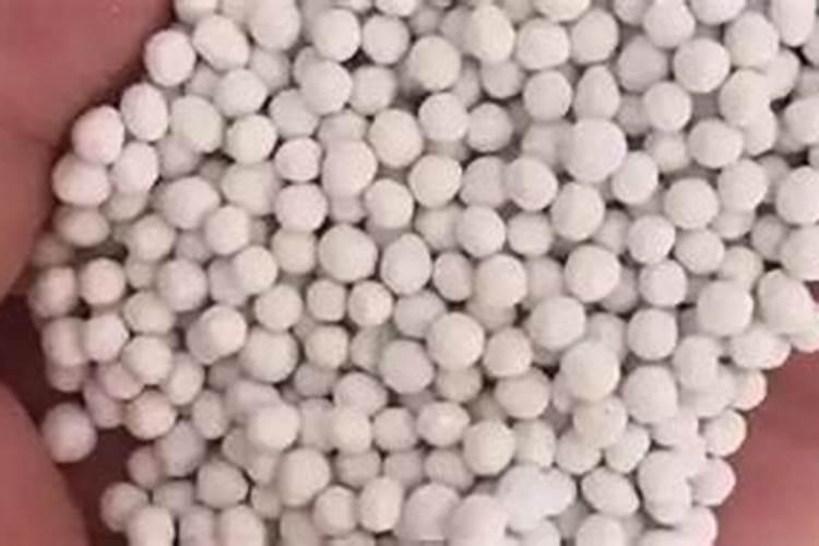 怎样培养幽门螺杆菌或大肠杆菌(新手实验,已有通用培养基,筛选用的材...