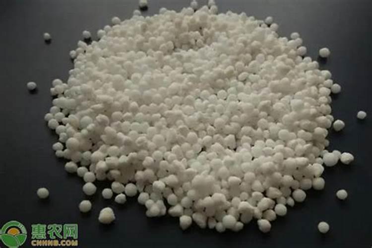 芹菜第一次施肥什么时候 施肥技术要点