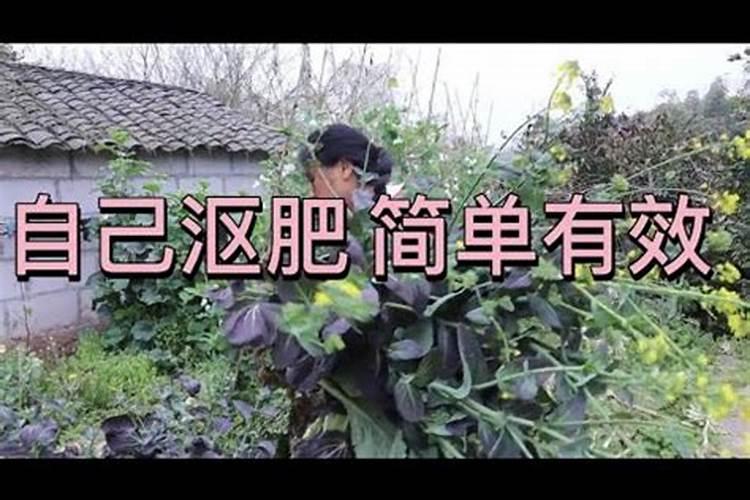 发酵肥料需要密封吗 沤肥要密封还是透气