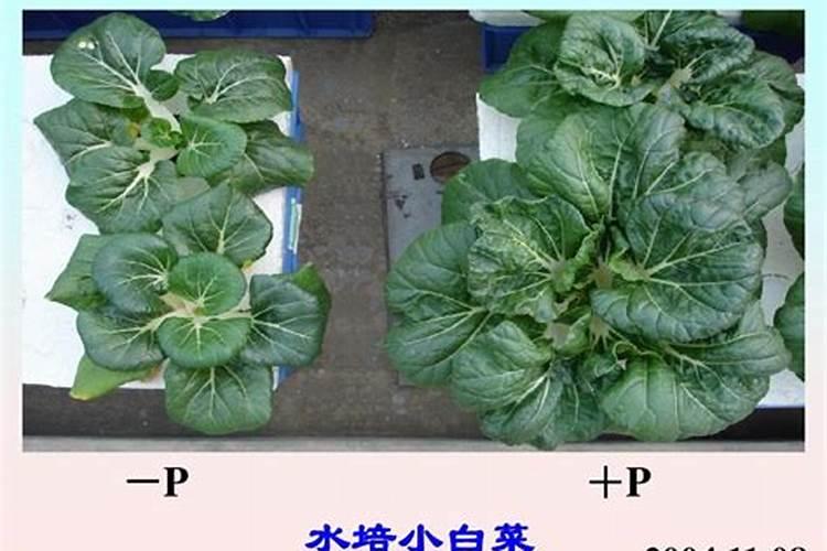 土壤检测的仪器是如何检测土壤的？