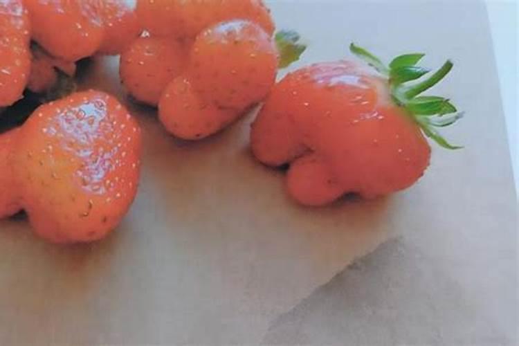草莓根本追肥用什么肥料最好