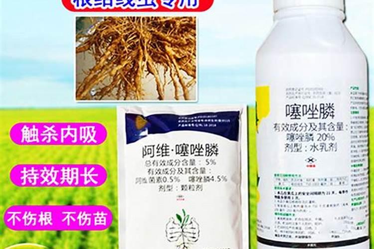 如何施用叶面肥