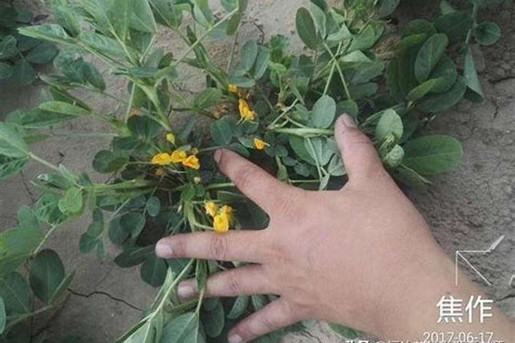 养蘑菇一年能赚多少钱