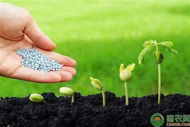 生物钾肥是什么？可以请专家们介绍一下吗？怎样使用好一些？