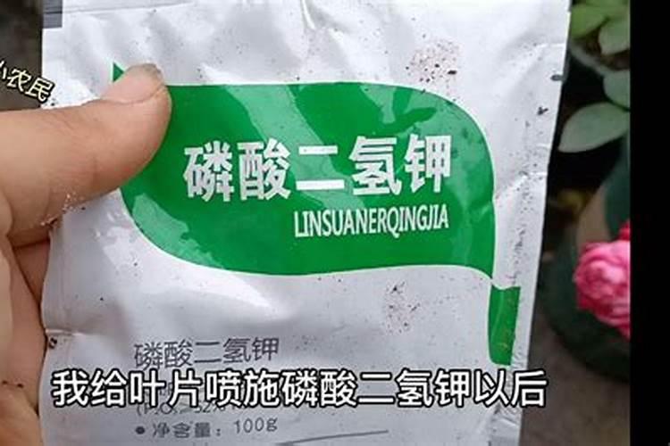 怎样自制磷肥和钾肥