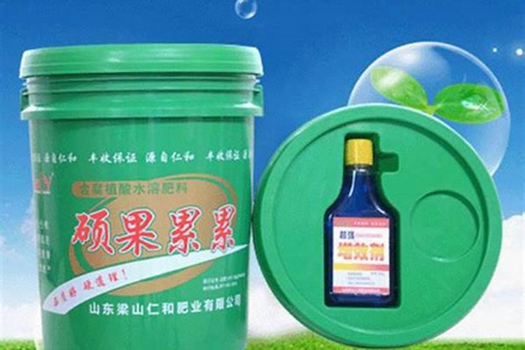 煎茶铺镇大棚基地在哪里