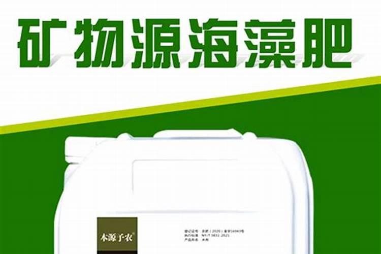 龙柏移栽的成活率如何？