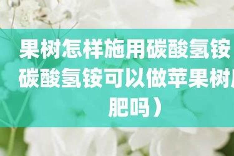 苹果树秋施基肥碳铵加磷肥或生物有机肥可以吗？为什么？(挂果树)