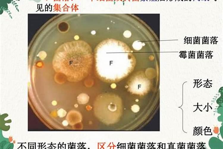 农大控释肥价格