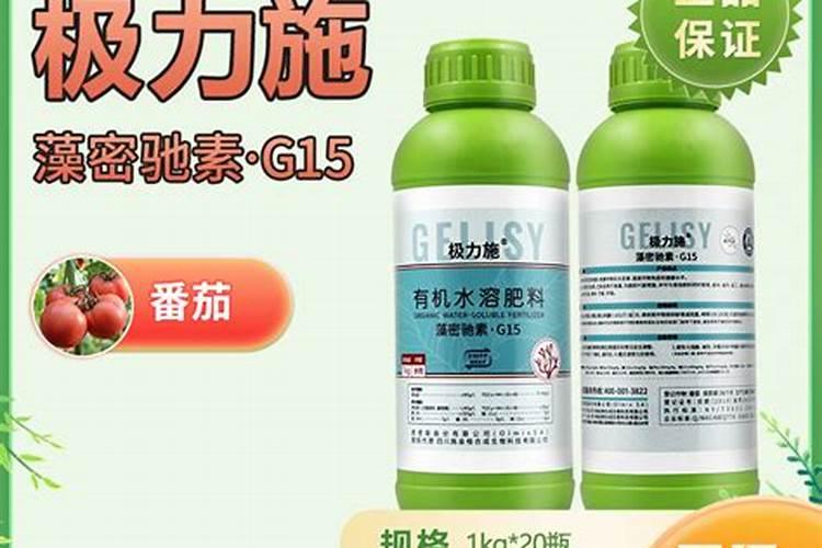 蔷薇花施肥方法