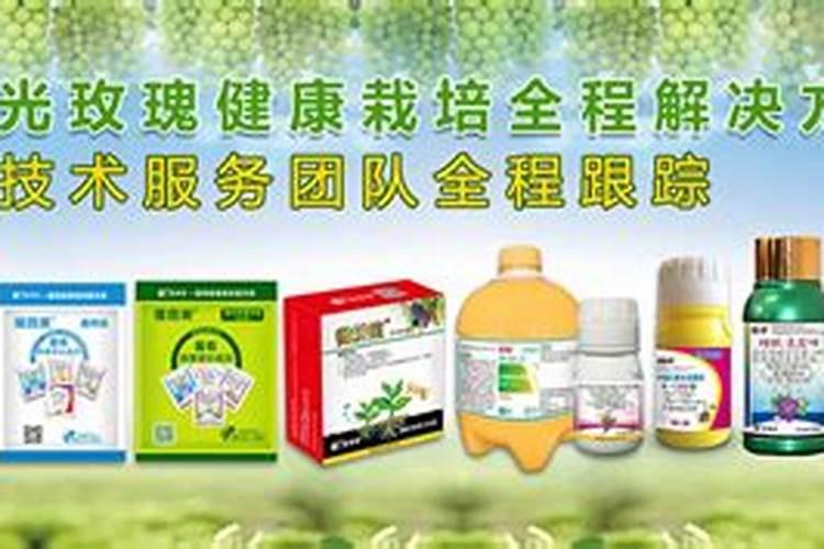 葡萄病害图片及防治方法