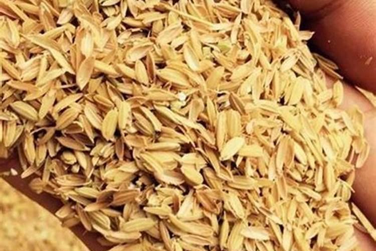 南瓜种植的施肥技术要点 南瓜施肥应该注意什么