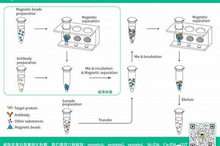 红薯生长后期适当喷施叶面肥,都有哪些作用？