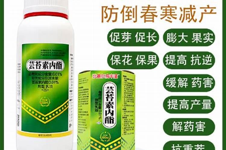 种植辣椒喷醋可以增加产量,具体什么时候喷最合适？