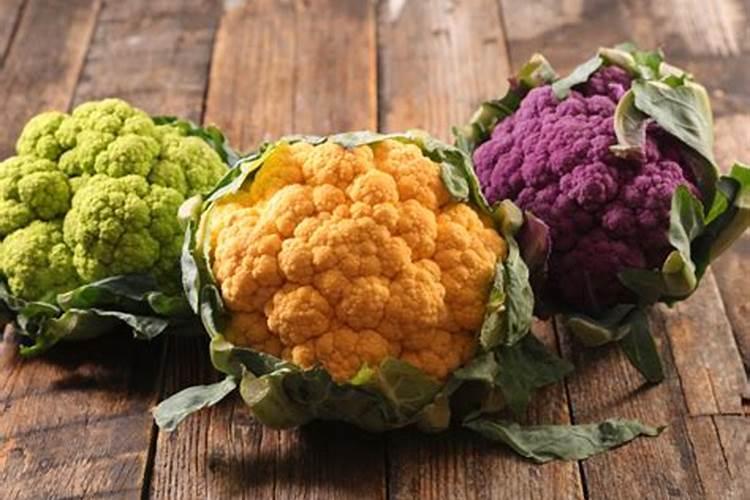 西瓜底肥过多烧苗怎么办？