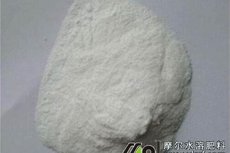 桃树春季施肥需要注意什么？记住这几点!