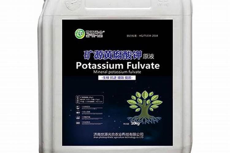 龙眼用硼肥料怎么施肥