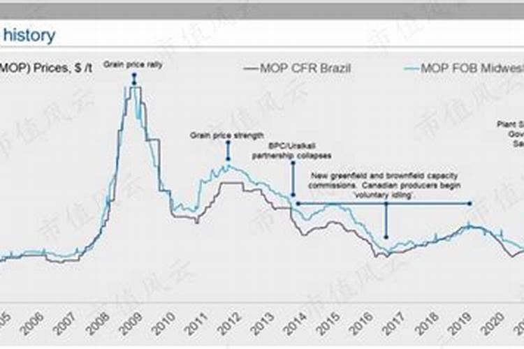 网购草坪种子哪里可靠