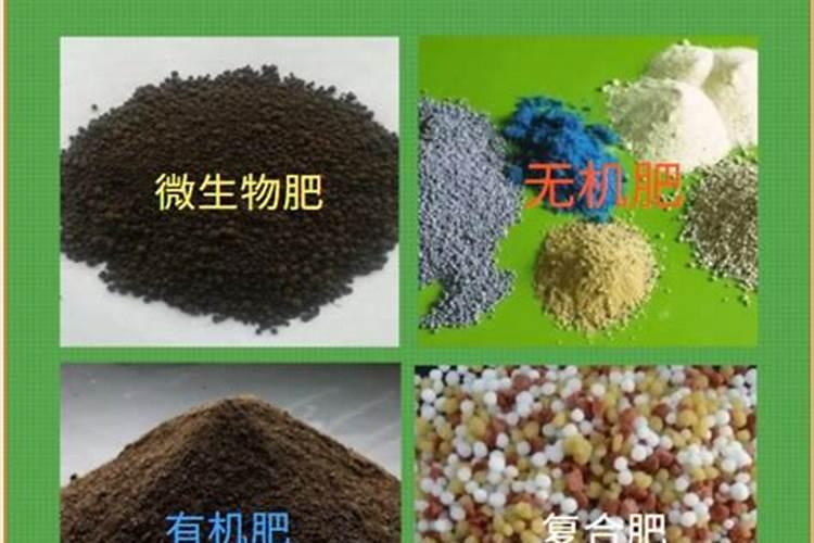 什么是生物菌肥 它的主要好处有哪些