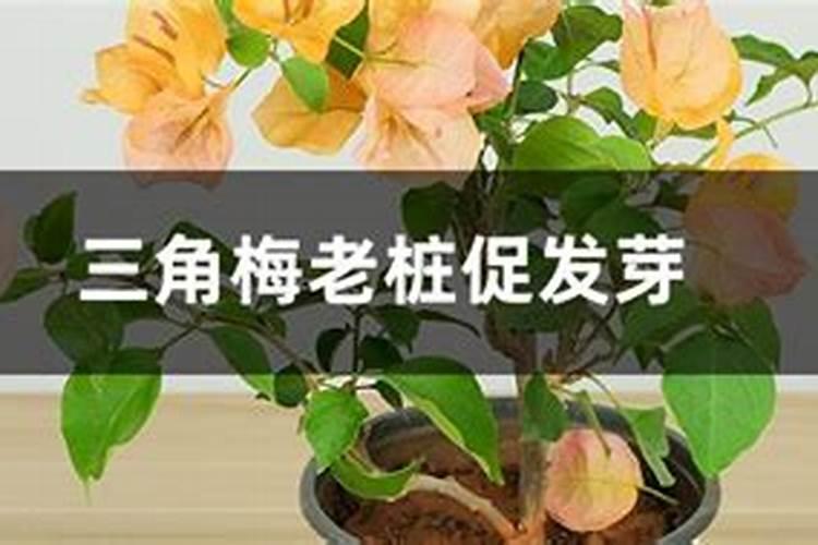 云南云天金谷化肥有限公司简介