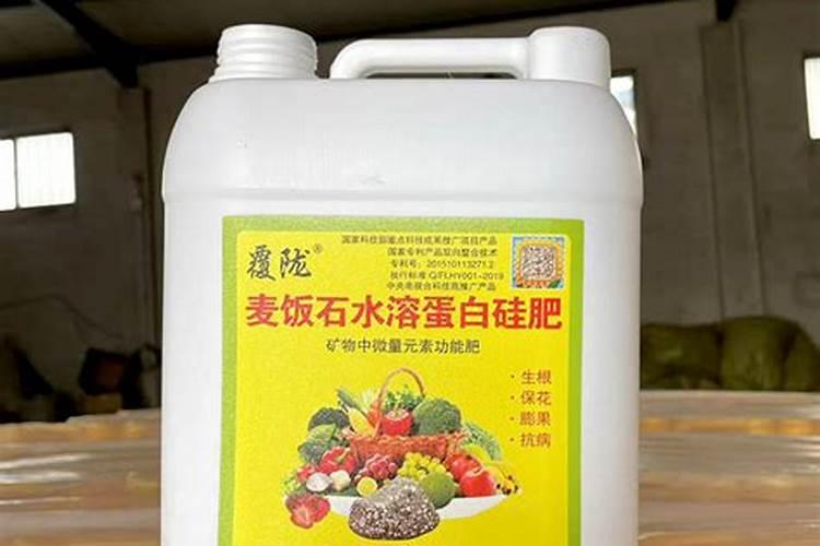 番茄生理性脐腐病是番茄种植的常见病害,番茄生理性脐腐病该怎么...