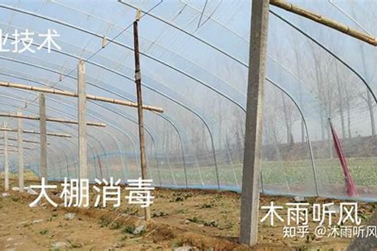 种桔子树多久才施肥 桔子树施肥间隔时间