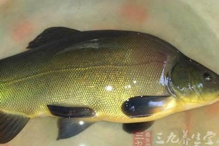 氮肥叶面肥有哪些,氮肥利用率