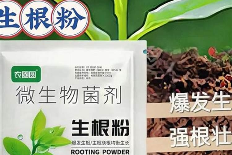 1斤水溶肥兑多少水