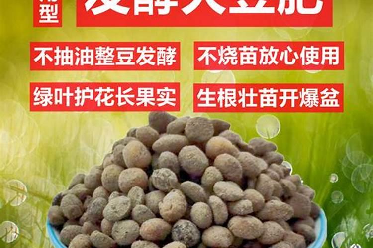 用大豆做底肥的使用方法